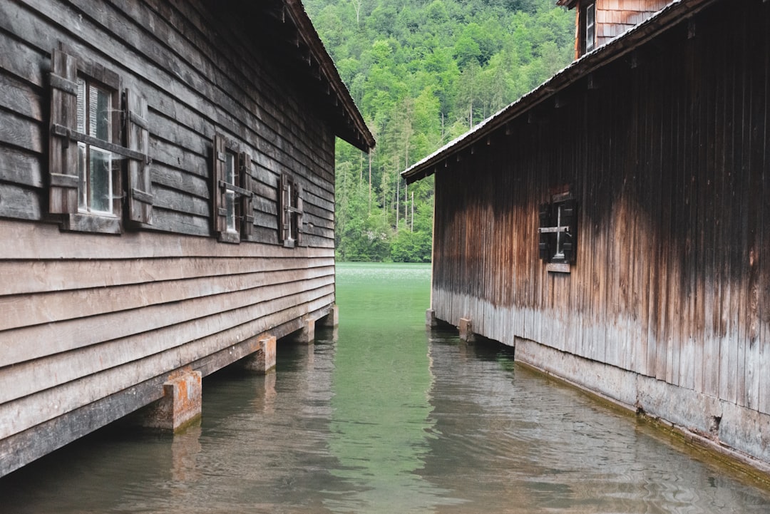 Constat Amiable Dégât Des Eaux