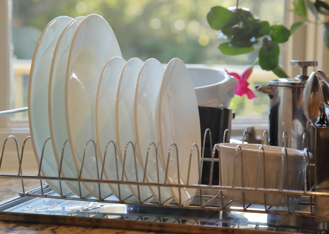 Clean white plates drying in a metal dish rack